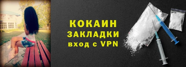 ПСИЛОЦИБИНОВЫЕ ГРИБЫ Дмитриев