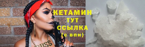 индика Гусь-Хрустальный