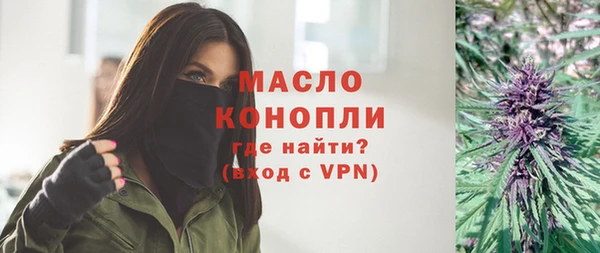 индика Гусь-Хрустальный
