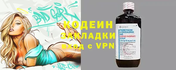 индика Гусь-Хрустальный