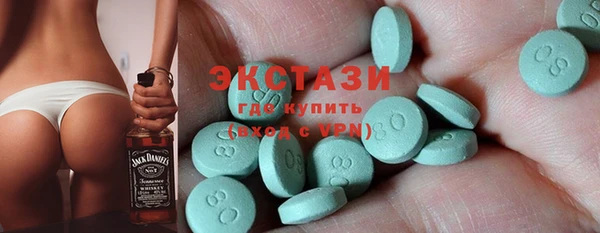 индика Гусь-Хрустальный