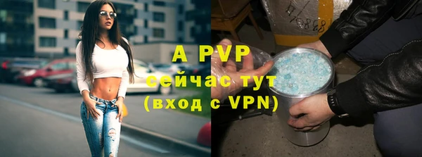 индика Гусь-Хрустальный