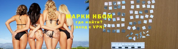 индика Гусь-Хрустальный