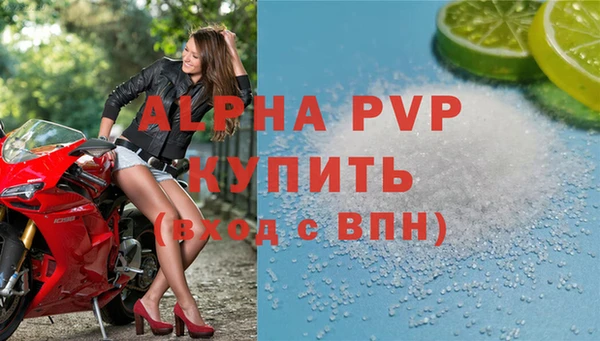 прущие грибы Гусев