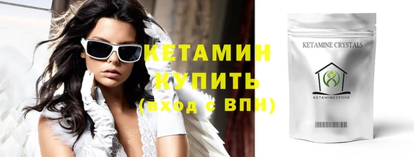 индика Гусь-Хрустальный