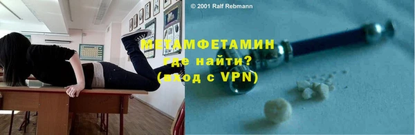 прущие грибы Гусев