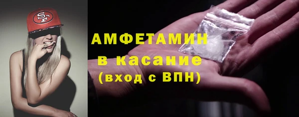 прущие грибы Гусев