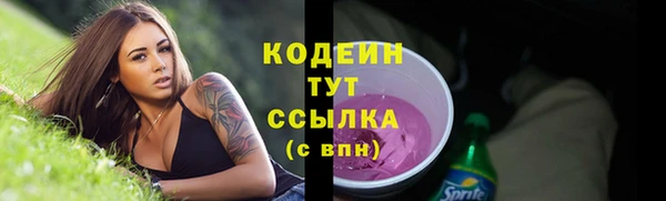 индика Гусь-Хрустальный