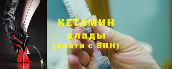 индика Гусь-Хрустальный