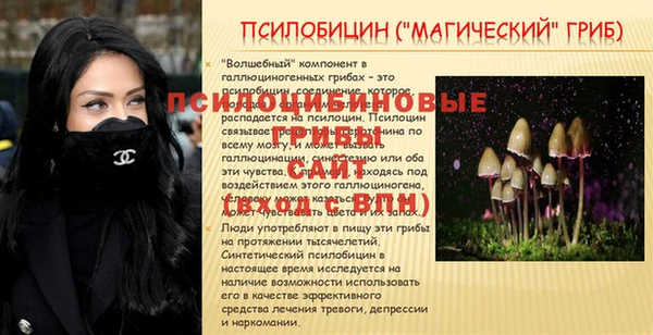 метадон Гусиноозёрск