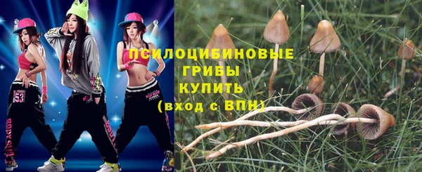 ПСИЛОЦИБИНОВЫЕ ГРИБЫ Дмитриев