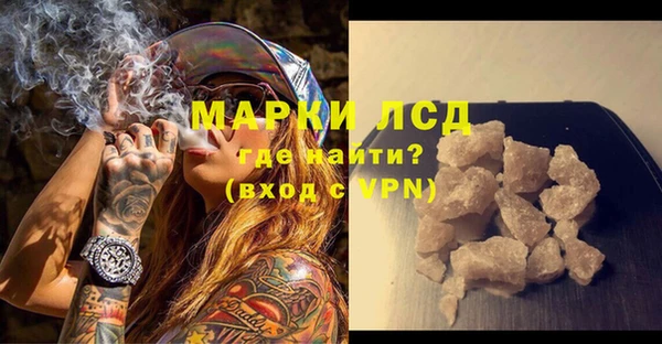 прущие грибы Гусев