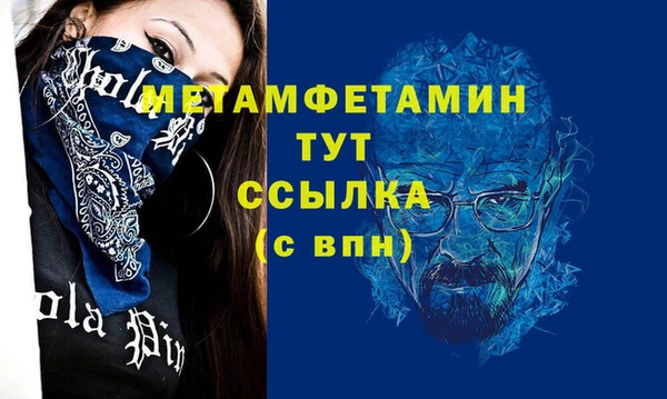 прущие грибы Гусев