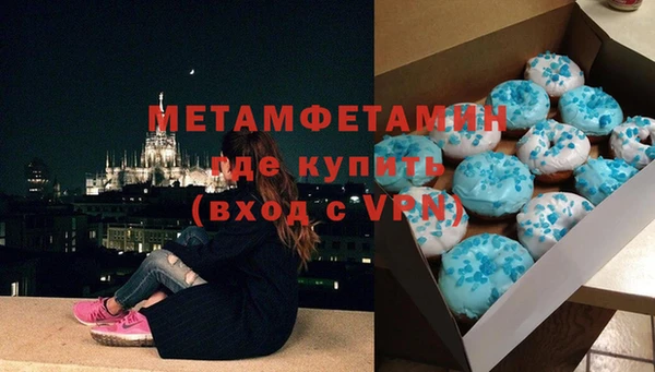 индика Гусь-Хрустальный