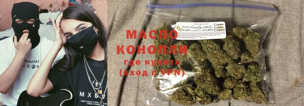 индика Гусь-Хрустальный