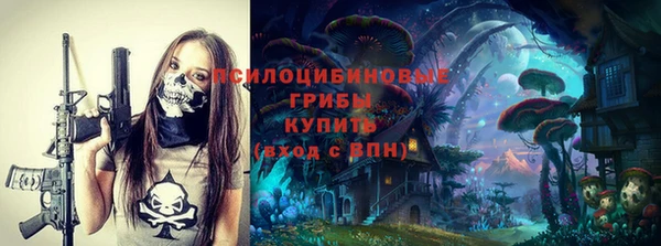прущие грибы Гусев