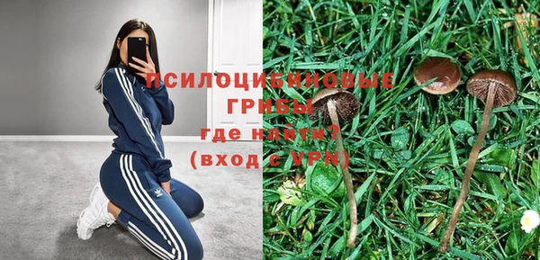 метадон Гусиноозёрск