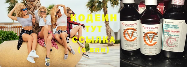 прущие грибы Гусев