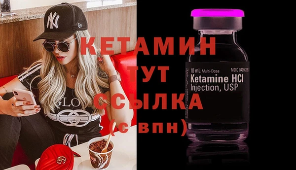 ПСИЛОЦИБИНОВЫЕ ГРИБЫ Дмитриев