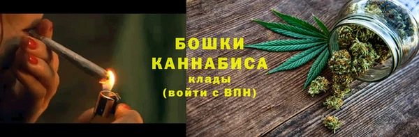 прущие грибы Гусев