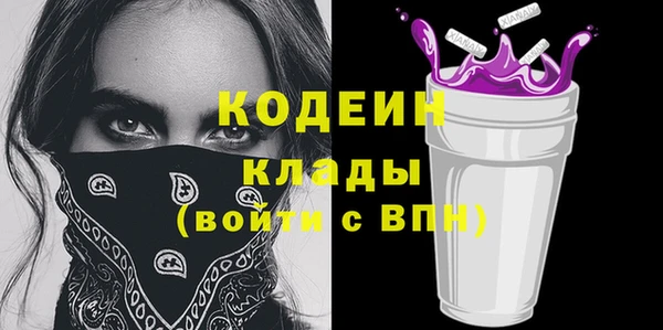 прущие грибы Гусев