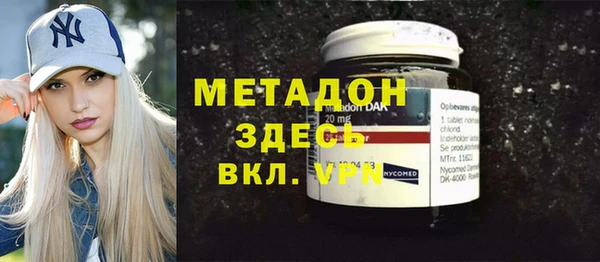 прущие грибы Гусев