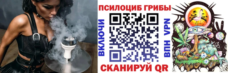 Купить  Хадыженск  Галлюциногенные грибы Psilocybe 